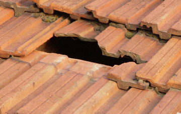 roof repair Brabsterdorran, Highland